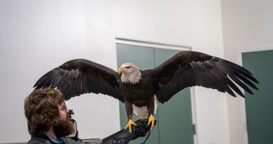 national eagle center