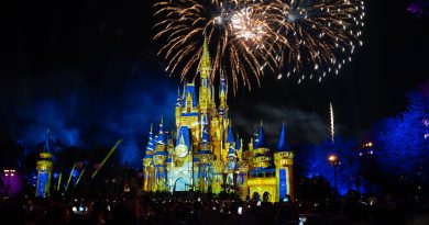 Disney Magic Kingdom Fireworks 1