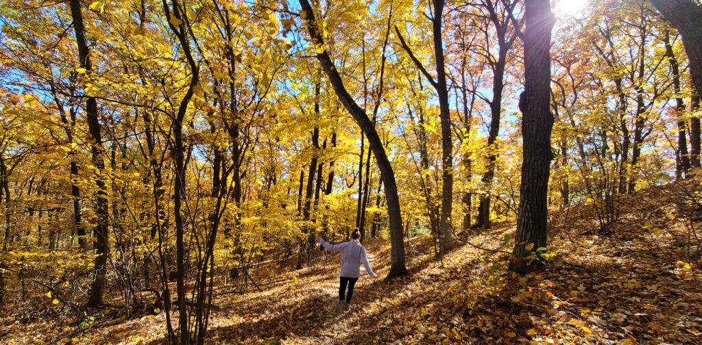 Best Fall Hiking in Central Wisconsin 1 best fall hiking in central wisconsin