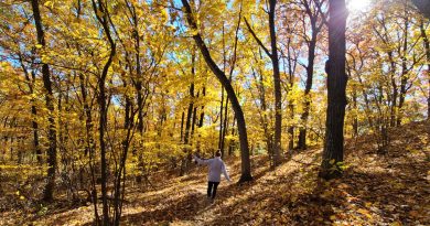 best fall hiking in central wisconsin