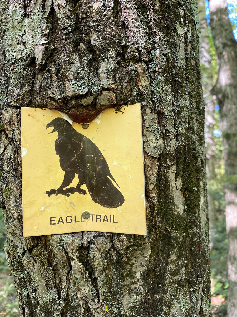 eagle trail peninsula state park