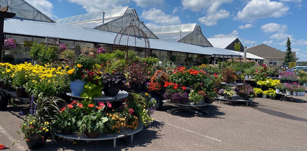 Eau Claire Greenhouse Showcases an Amazing Cacti Wonderland 1 eau claire greenhouse