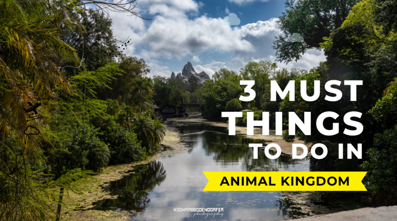 3 Must Things to do in Animal Kingdom