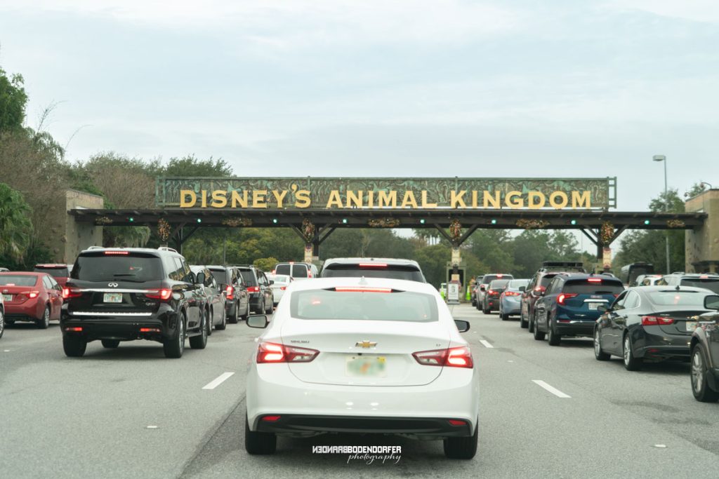 Animal Kingdom Entrance 