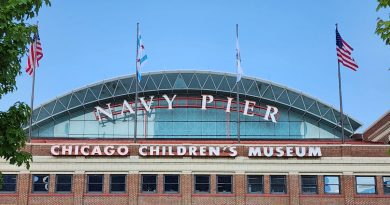 navy pier in chicago