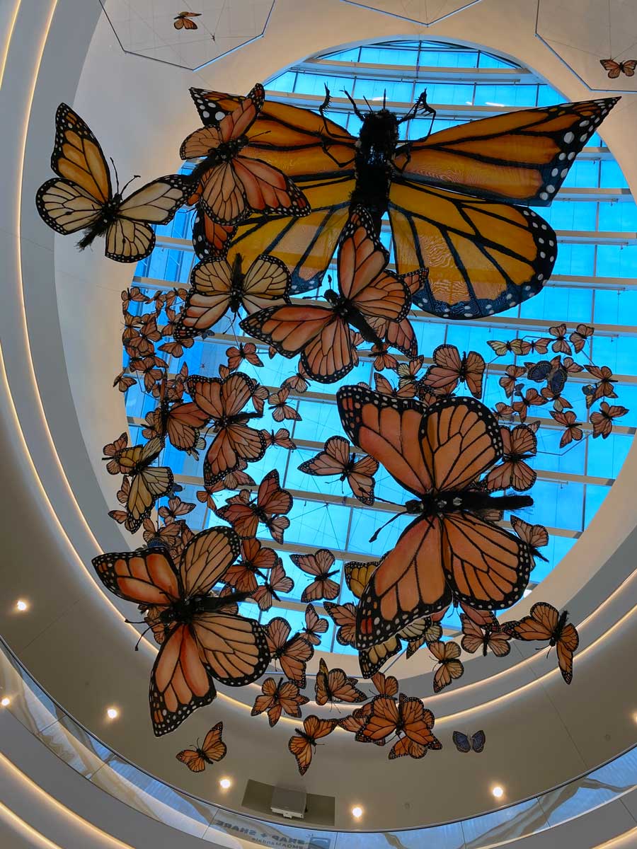 mall of america monarch butterflies