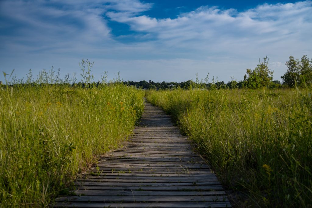 Take a walk on the Boardwalk at Blue Harbor Resort 1 Boardwalk-at-Blue-Harbor-Resort