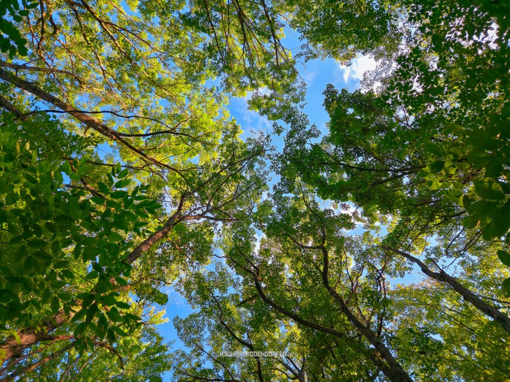 Chapel Gorge Trail Wisconsin River 04