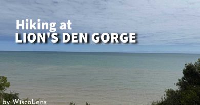 lions den gorge
