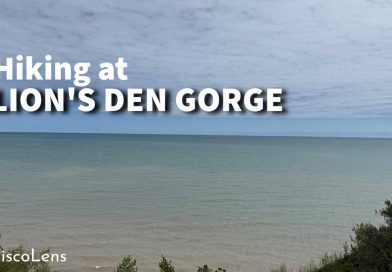 lions den gorge