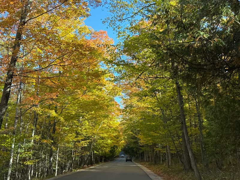 Door County Fall Colors Drive | Sturgeon Bay to Peninsula State Park (October 2025) 2 fall color peninsula state park